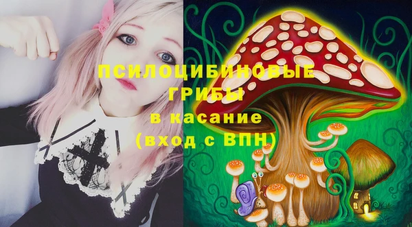 не бодяженный Арсеньев