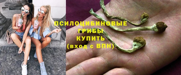 метадон Армянск