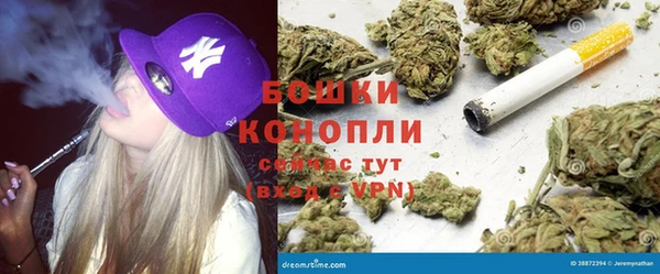 дмт Аркадак